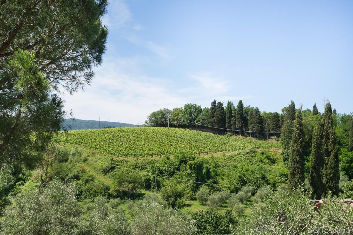 Agriturismo Terre Di Toscana Terricciola Экстерьер фото